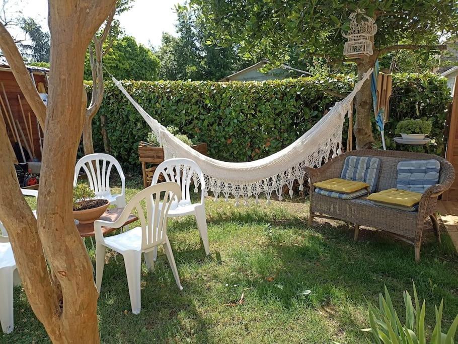 Maison Agreablement Chaleureuse Albi Extérieur photo